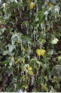 Photo Texture of Icicles 0002